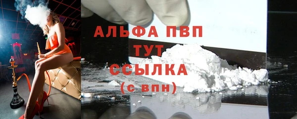 дмт Дмитров