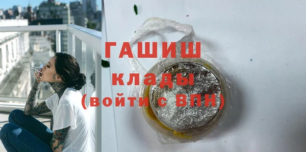 дмт Дмитров