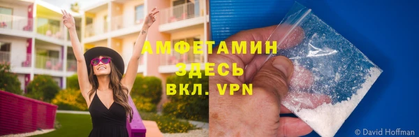 дмт Дмитров