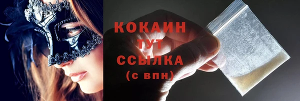 дмт Дмитров