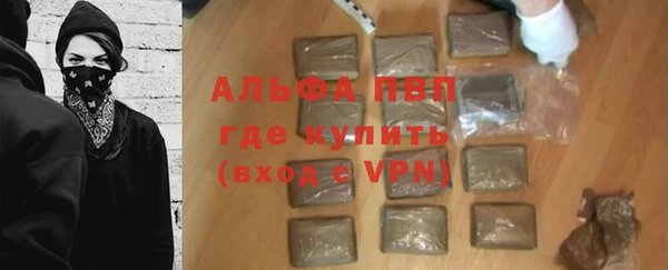 дмт Дмитров