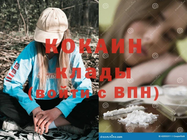 дмт Дмитров