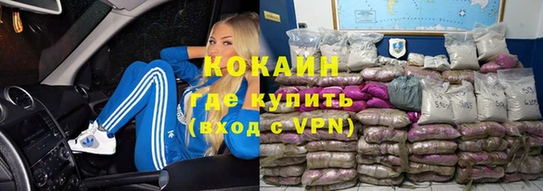дмт Дмитров
