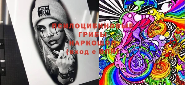 дмт Дмитров