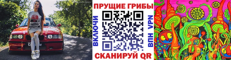 Галлюциногенные грибы прущие грибы  Купить закладки  Тайга 